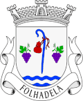 Vlag van Folhadela