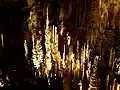 Une partie de la forêt de stalagmites
