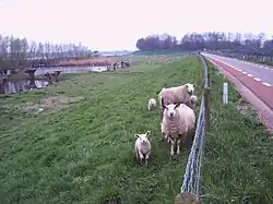 Fort Honswijk bij Schalkwijk.