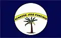 Vlag van Senador José Porfírio