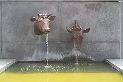 Koeienkoppen, Doetinchem