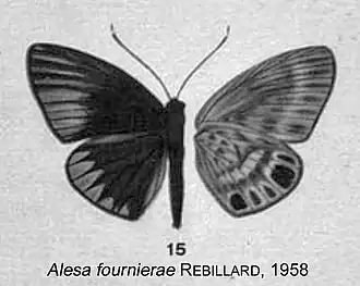 Alesa fournierae