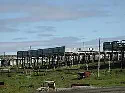 Pelsdierhouderij (blauwvossen)