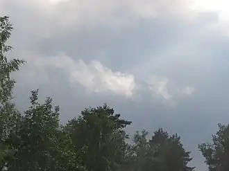 Stratus fractus op de voorgrond