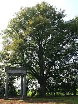 Park van een gesloopt kasteel