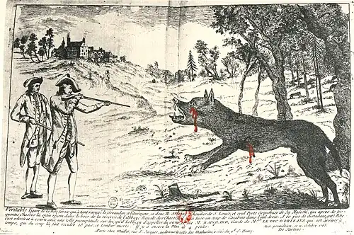 François Antoine doodt het Beest (18e eeuw), gravure, BnF