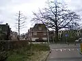 Fredinand Bolstraat met achteraan de Adriaen van Ostadelaan gezien vanaf het Diakonessenhuis