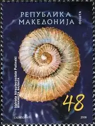 Valvata hirsutecostata