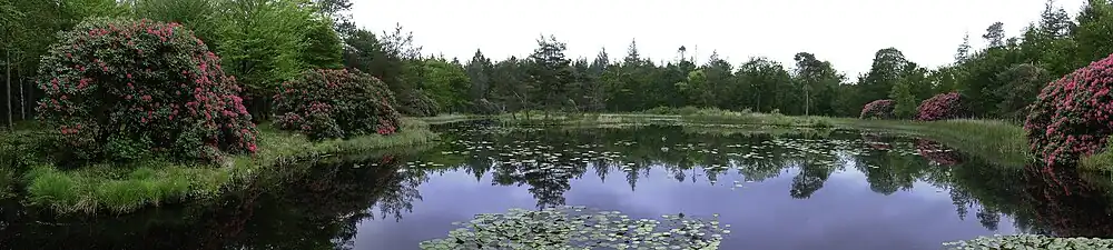 Panorama over de Freulevijver