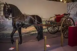 Fries paard met sjees