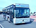 Citaro K te Norddeich