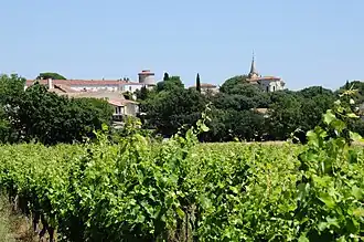 Gezicht op Vérargues