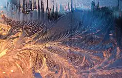 IJsbloemen tegen een ruit.