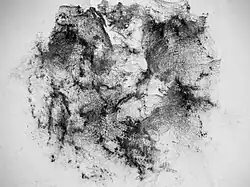 Frottage van een steen