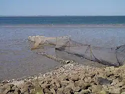 Fuik met twee vleugels en een stuk schutwant