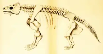 Embrithosaurus