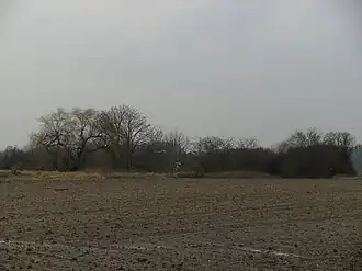 Overzichtsfoto van het terrein