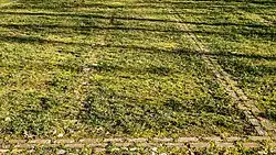 Fundering van de voormalige kluizenarij