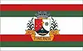 Vlag van Funilândia
