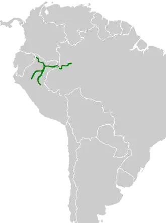 Bleeksnavelovenvogel