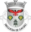 Vlag van Gavião