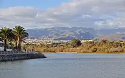 Natuurgebied Charca de Maspalomas