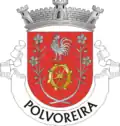 Vlag van Polvoreira