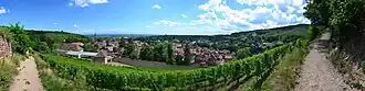 Bij Ribeauvillé, Haut-Rhin