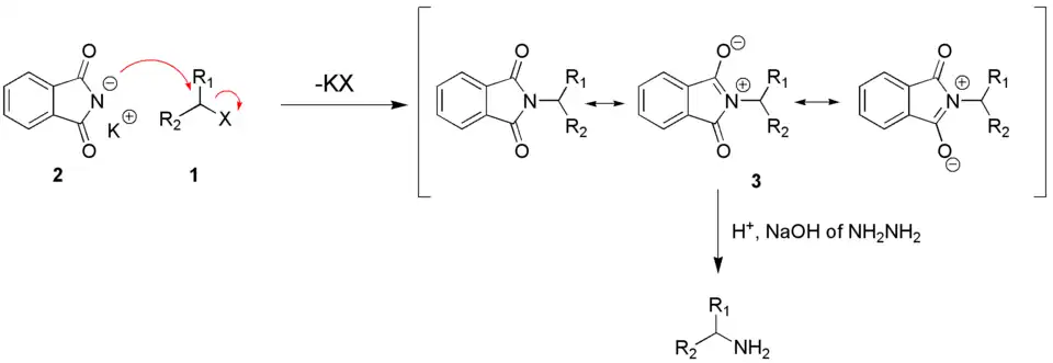 Gabrielreactiemechanisme