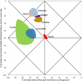 miereneter Myrmecophaga, klipdasachtige Heterohyrax, das Taxidea, mierenegel Tachyglossus, schildpadden Testudo, Chelydra, Kinosternon, Sternothaerus, Trionyx, krokodilachtigen Alligator, Caiman, stinkdier Spilogale