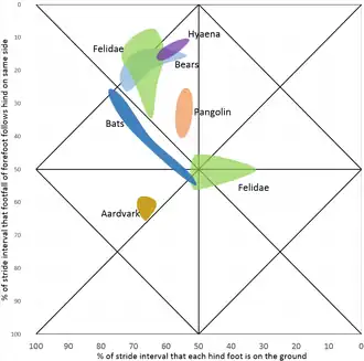 hyena Hyaena, katachtigen Felis, Panthera, Acinonyx, beren Thalarctos, Melursus, Helarctos, Tremarctos, Selenarctos, Ursus, schubdierachtige Manis, vleermuizen Pteropus, Tadarida, aardvarken Orycteropus