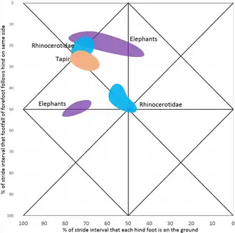 olifanten Elephas, Loxodonta, neushoorns Ceratotherium, Diceros, Rhinoceros, tapir Tapirus