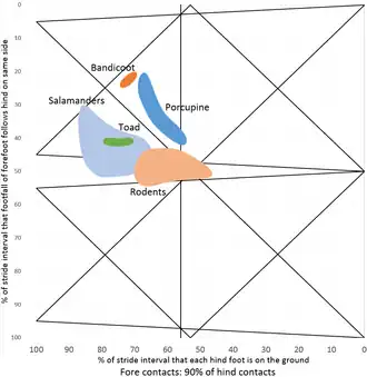 buideldas Isoodon, stekelvarken Hystrix, knaagdieren Mus, Hypogeomys, Thomomys, salamanders Ambystoma, Salamandra, Taricha, Plethodon, Dicamptodon, pad Bufo
