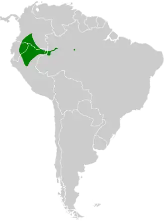 Kortstaartglansvogel