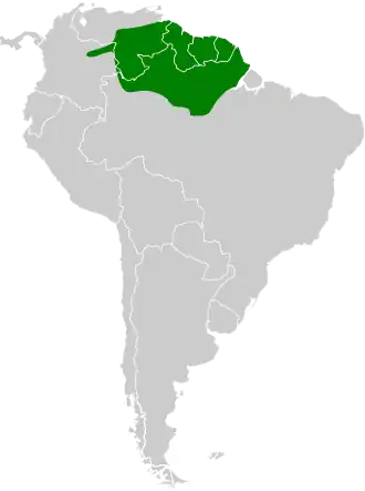 Groenstaartglansvogel