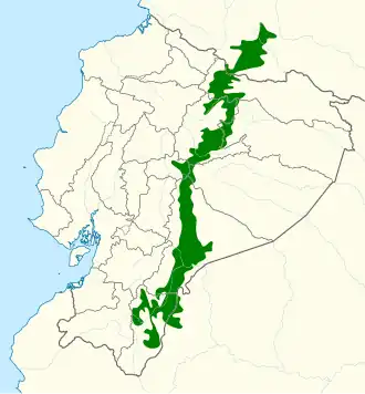 Koperborstglansvogel