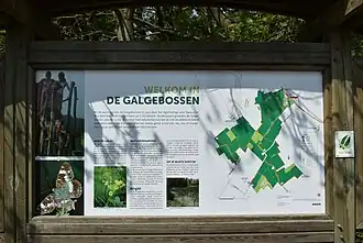 Galgebossen