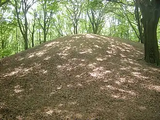 De Galgenberg in Park Manresa, waar criminelen, zoals Hulster Heinke, werden opgehangen