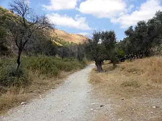 De oude weg tussen Rosh Pina en Safed
