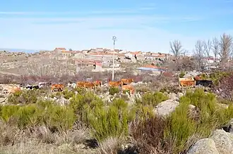 Panoramisch van Gallegos de Altamiros