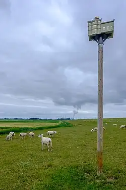 Maquette van de vuurtoren op een paal tussen de schapen achter de dijk met op de achtergrond de Eemshaven