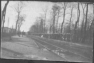 Station Croix-d'Hins