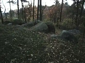 Großsteingrab am hohen Stein und der hohe Stein