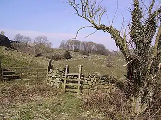 Gate and Stile