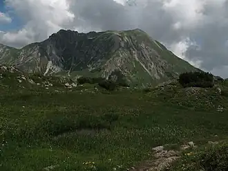 De Geißhorn gezien vanuit de Gemstelkoblach (zuiden)