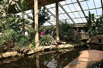 De Afrikaanse tropische kas