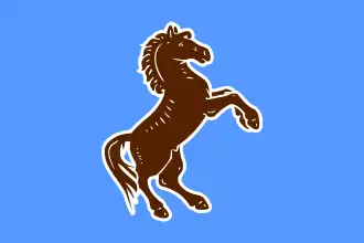 Vlag van het Algemene Volkscongres