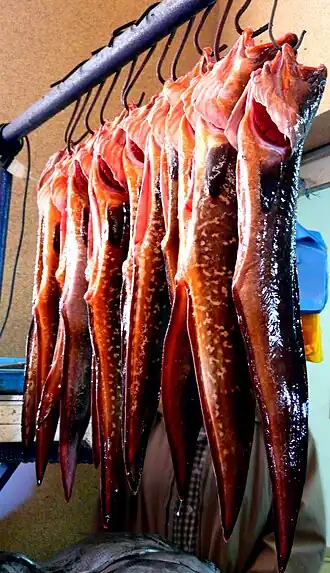 Chileense koningsklip