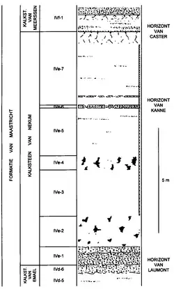 Lithologisch profiel van de Kalksteen van Nekum in de ENCI-groeve