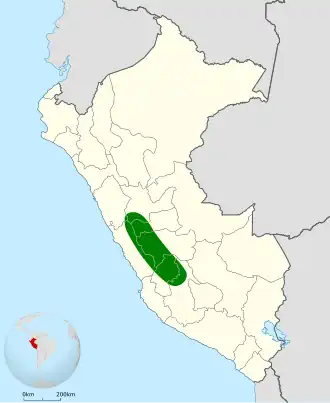 Donkervleugelholengraver